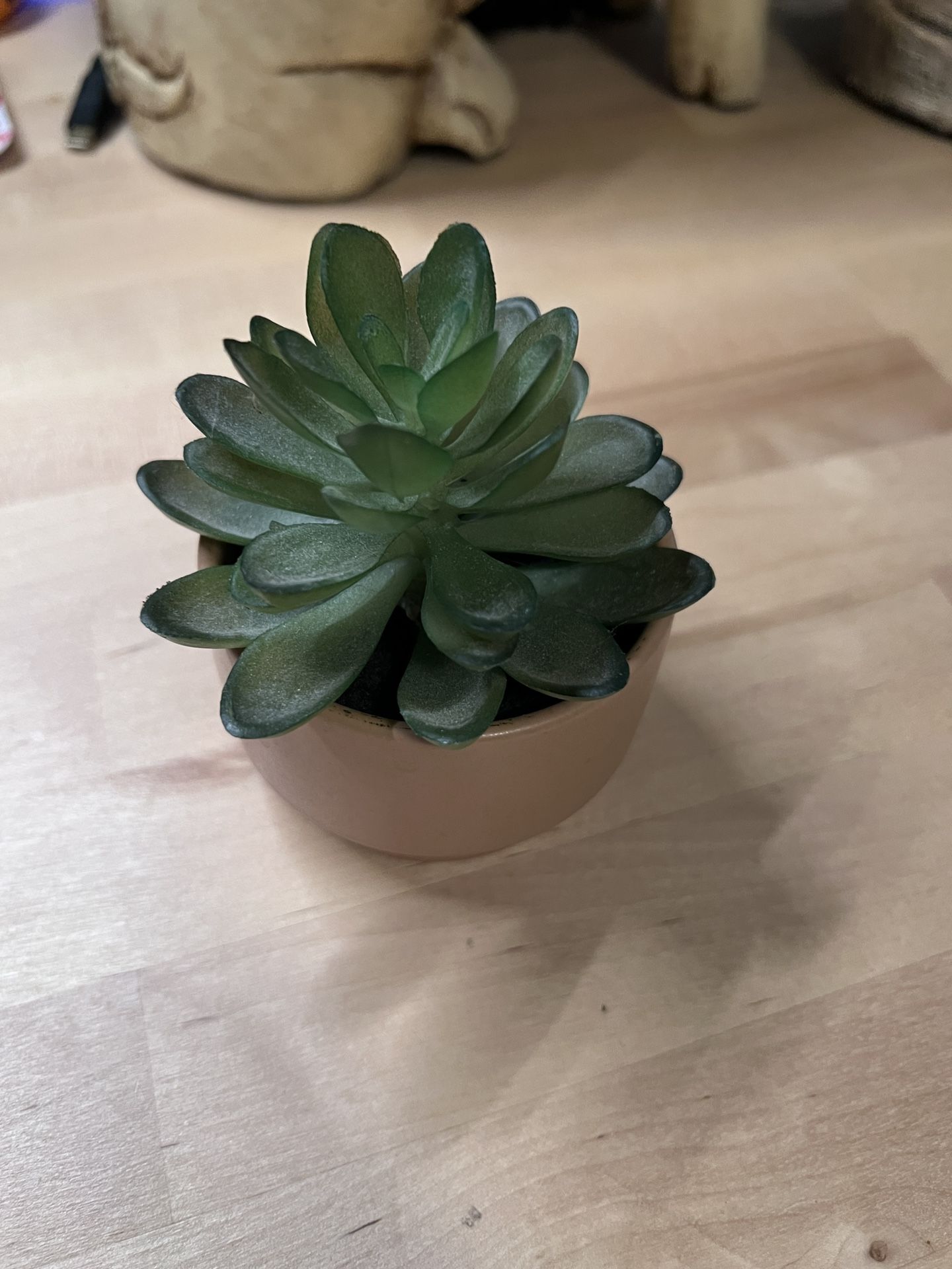 🌿 Faux Succulent in Tan Pot – Realistic Decorative Plant