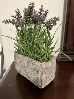 House Decoration