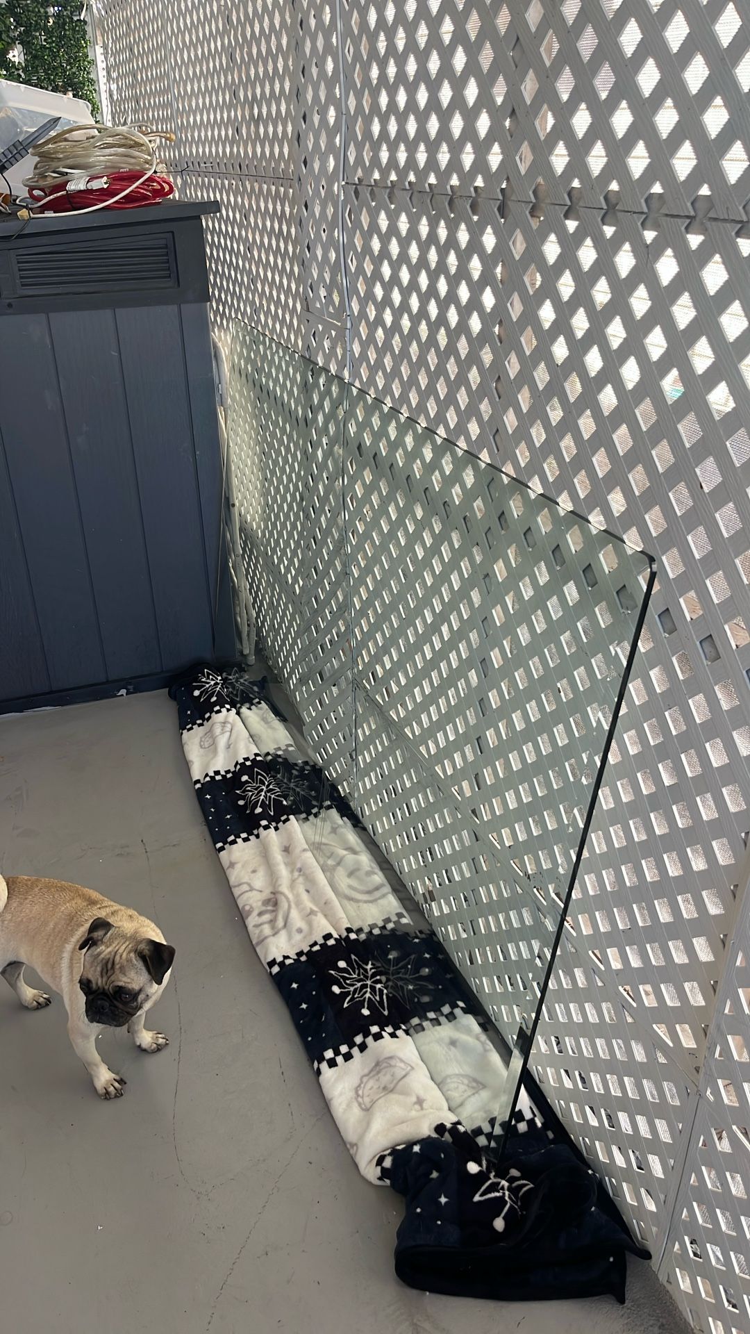 Dining Table Class Only