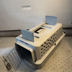 Taxi Pet 