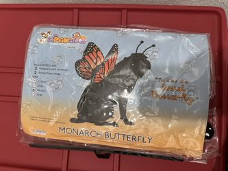 Butterfly Pet Costume