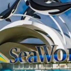 Sea World  Tickests