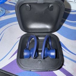 Power Beats Pro Wireless Earbuds 