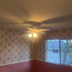 Ceiling Fan With Light