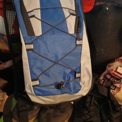 Hydration Backpack 