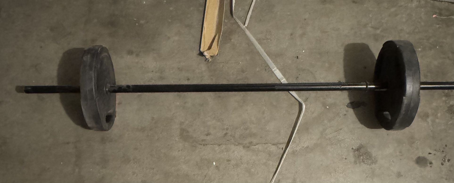 20lb Curl Bar