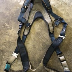 Fall Protection Harness