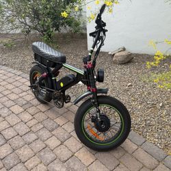 Ariel Rider Grizzly  e-bike