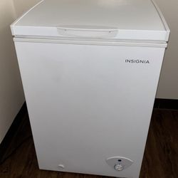 White , INSIGNIA deep freezer. 