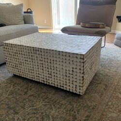Coconut Shell Coffee Table