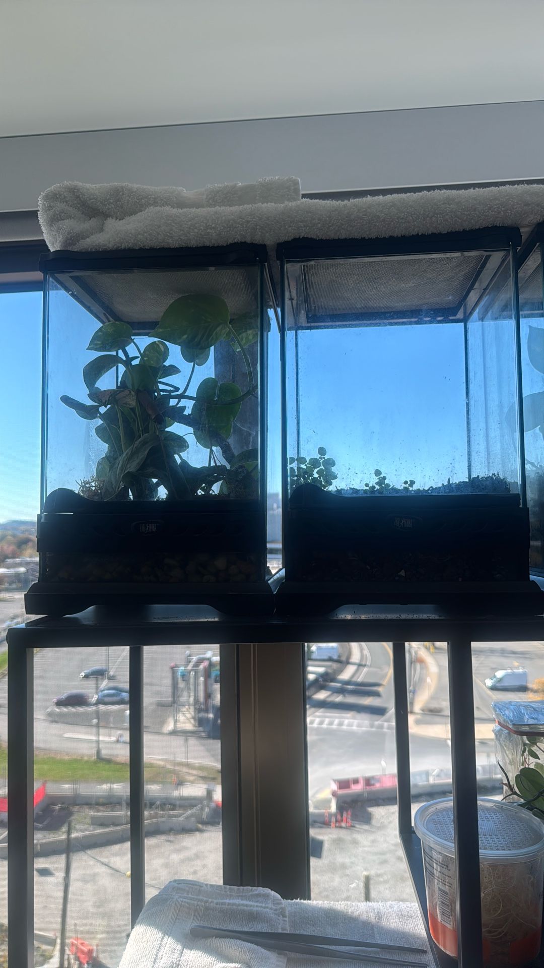 Exo Terra Nano Reptile