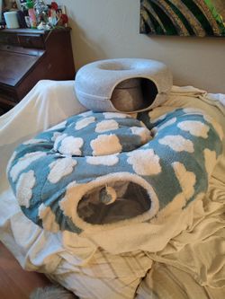 Cat and kitten tunnels