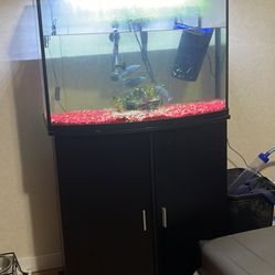 36 Gallon Fish Tank