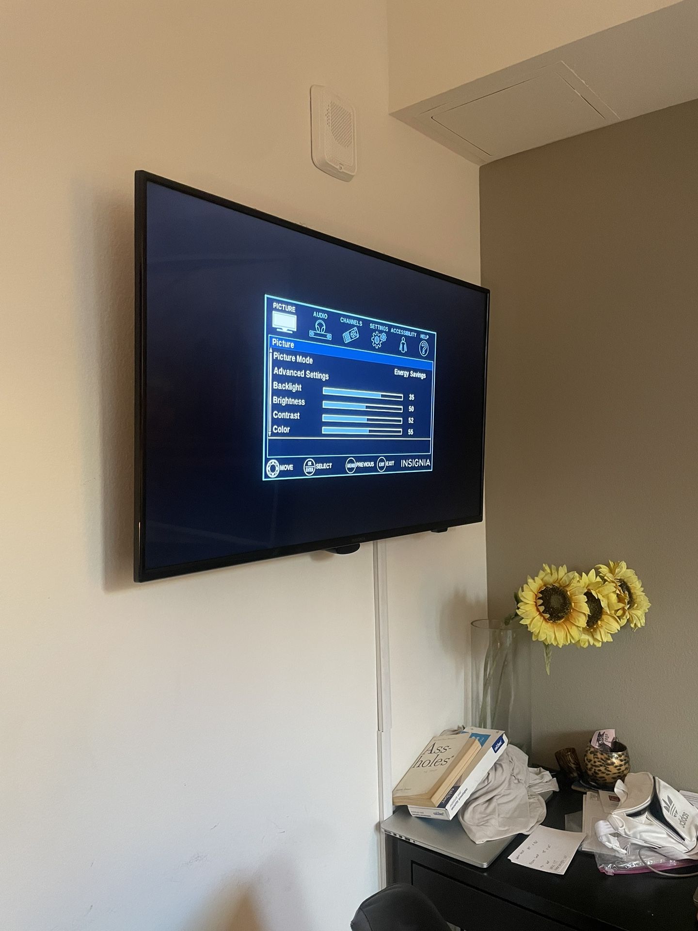 44” Insignia TV
