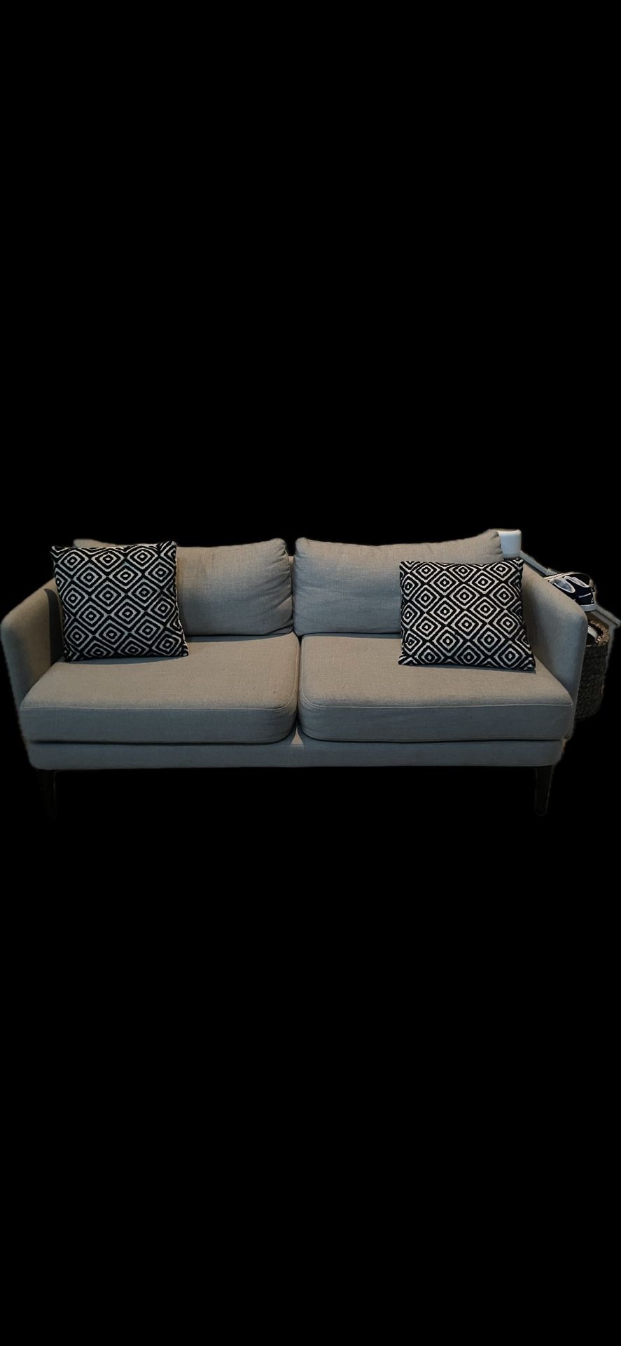 West Elm Small Couch & 2 Chairs 