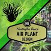 HB Airplant Design