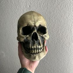 Skulls Decoration Heavy Paper Weight 