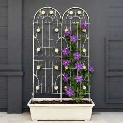 2 Pack Metal Garden Trellis 71" x 19.7" Rustproof Trellis for Climbing Plants Outdoor Flower Support Cream White