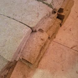 Free, Need Gone Asap