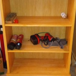 Cabinet With 2 Shelf S