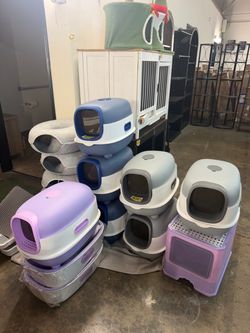 New car litter box