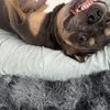 Ernie