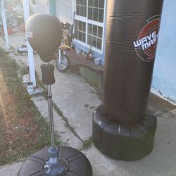 Wave Master Punching Bag And A Ring Side Punching Bag 