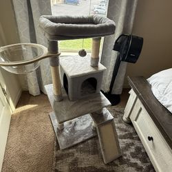 Cat Tower 