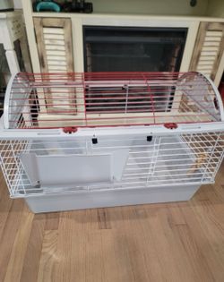 Guinea Pig Cage