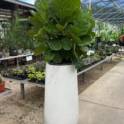 Beautiful And Modern, Big New White Pot Glossy 40 Inches, Plant Not Included 