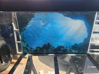 75 gallon fish tank/aquarium