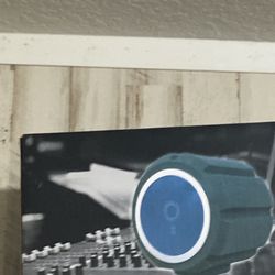 Microphone Isolation Shield