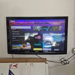 Panasonic Flat Screen