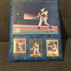 Official Mlb Portrait Of Tony Gwynn 300th Hit