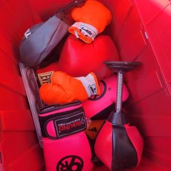 Box  Boxing  Gloves  