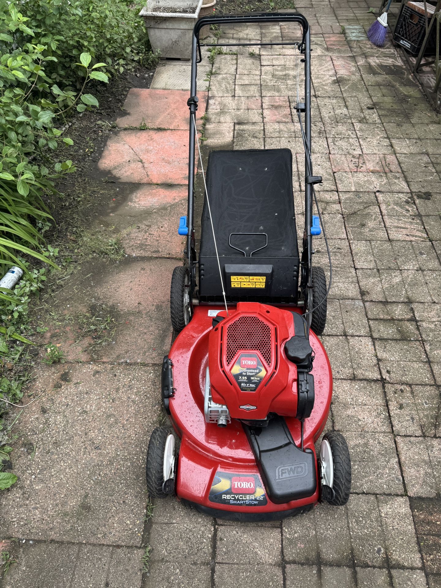 Lawn Mower 