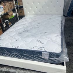 pick any frame all sizes beds available twin full king queen delivery available!