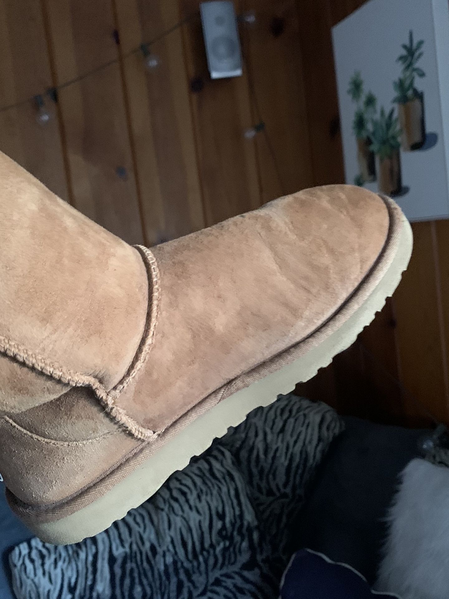 UGG Midcalf Size 6