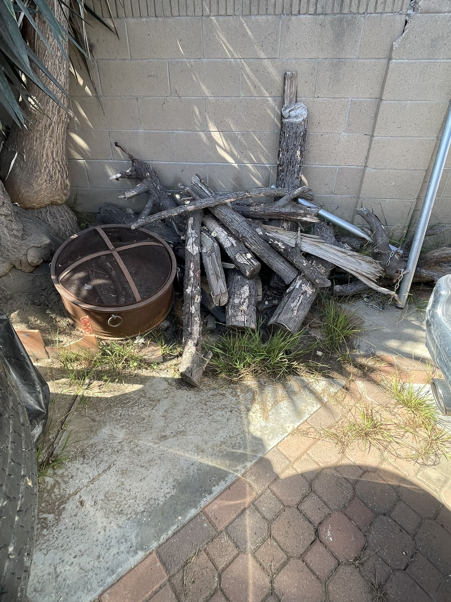 Free Firewood 