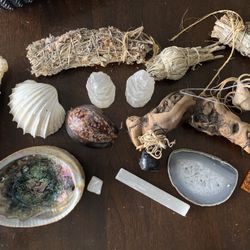 Shells Beach Wood Sage Stones