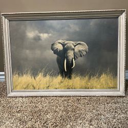 Vintage Print Framed From 1962 David Shepherd