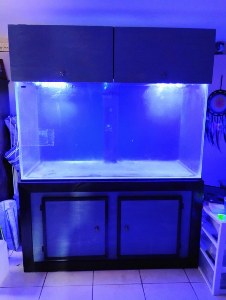200 Gallon Acrylic Aquarium With Stand And Canopy