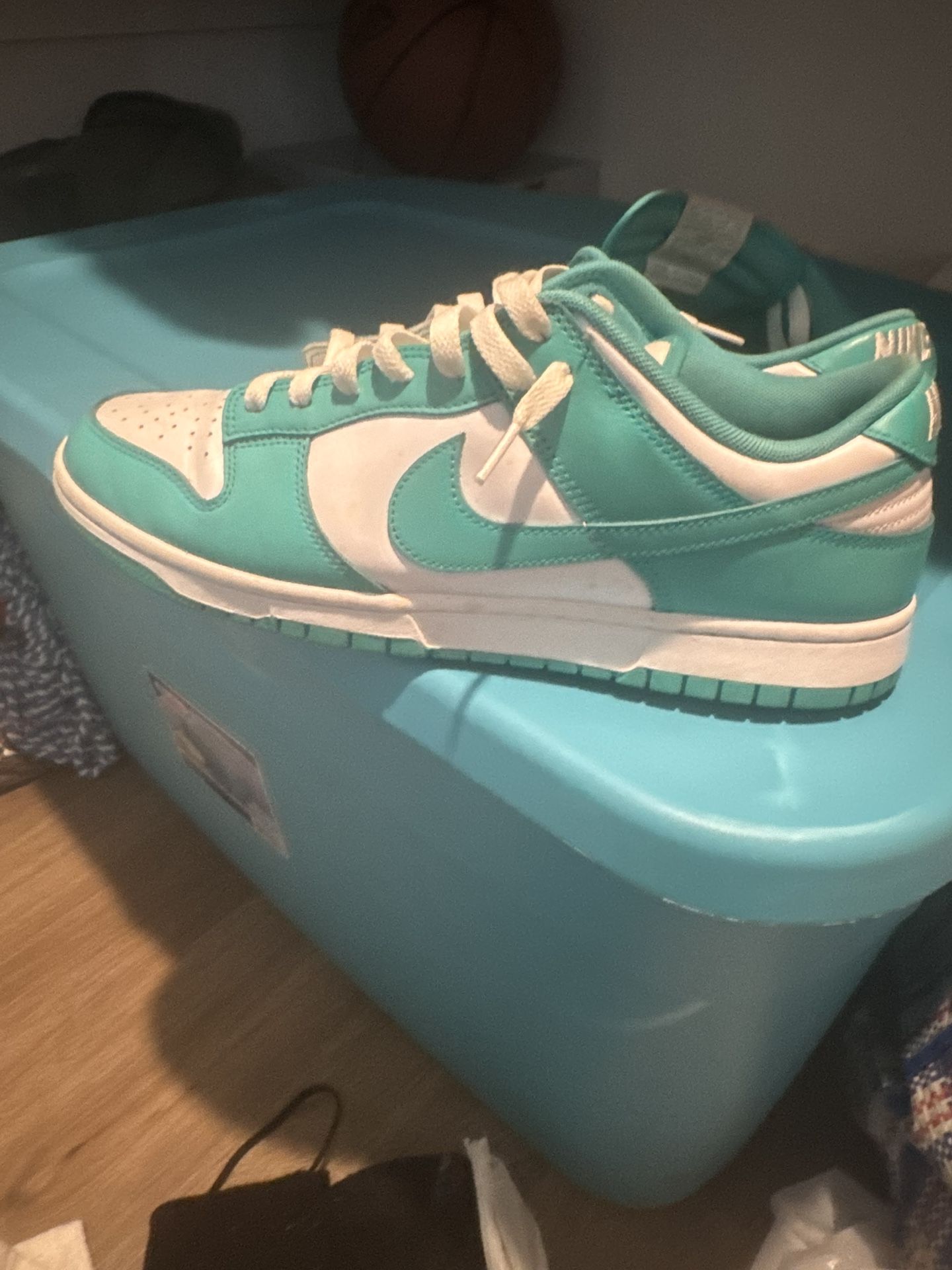Nike Dunks (low Top)