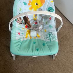 Baby Rocker