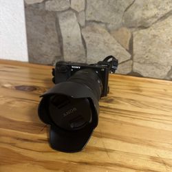 Sony A6000 (ILCE-6000) with 18- 105mm f/4 G OSS Lens
