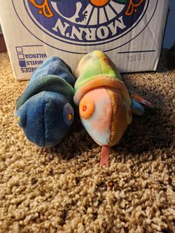 Beanie babies