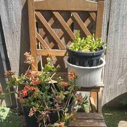 Outdoor plant stand
