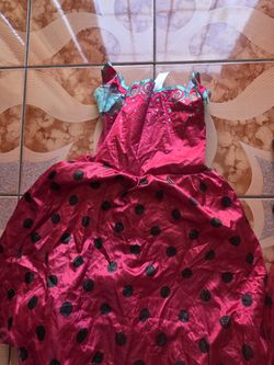 Lady Bug Dress And Wig For Toddler Girls