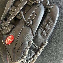Glove 12 Inch 