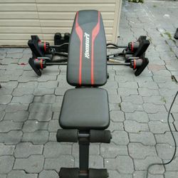 Bench With Curl Bar And Straightbar 